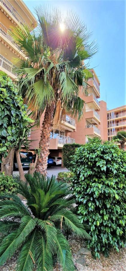 Los Ranchos, B-1º Benidorm Extérieur photo